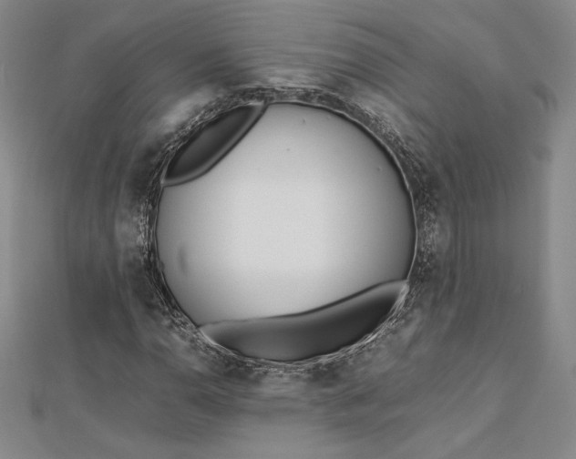 X0000112871110200909041616