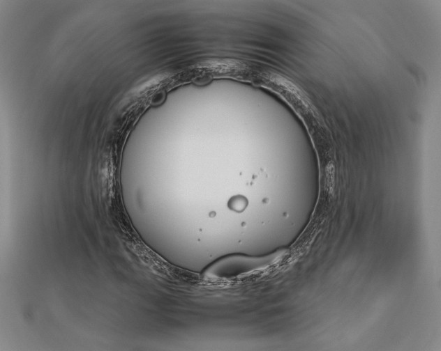 X0000112871111200909041616