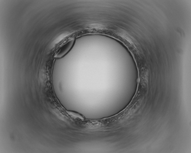 X0000112871112200909041616