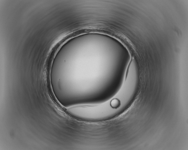 X0000112871114200909041616