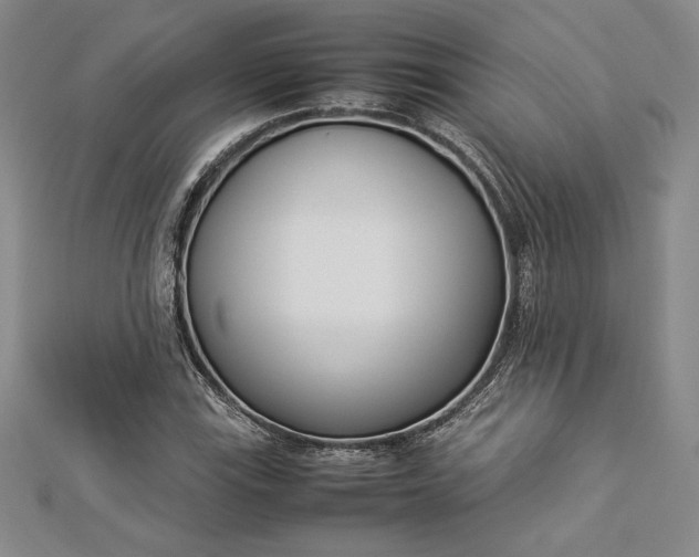 X0000112871115200909041616