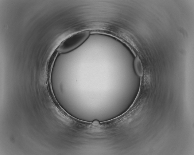 X0000112871116200909041616