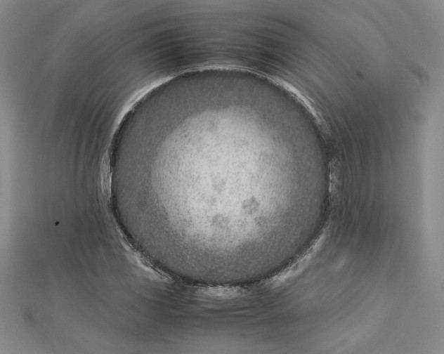 X0000112871117200909041616