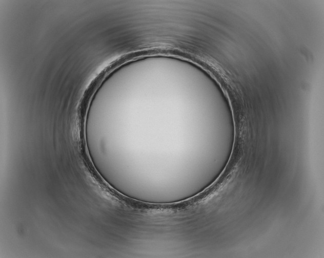 X0000112871118200909041616