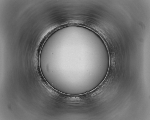 X0000112871119200909041616