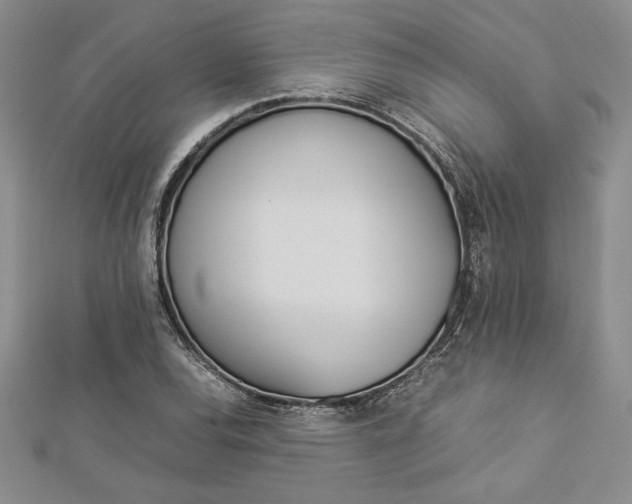 X0000112871120200909041616