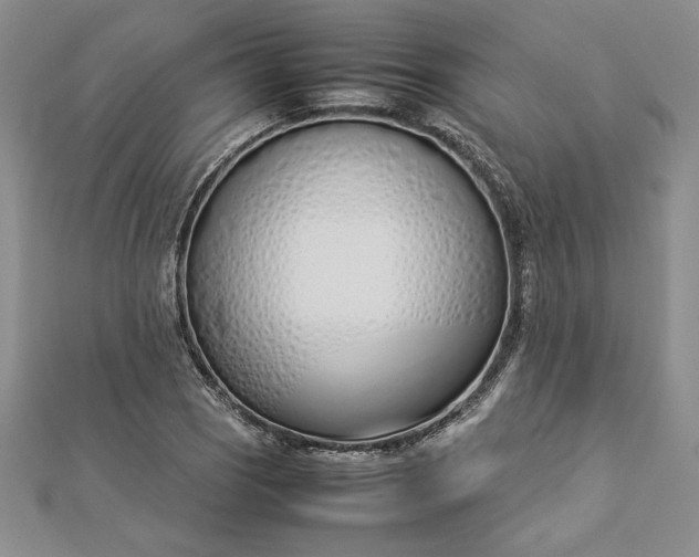 X0000112871121200909041616