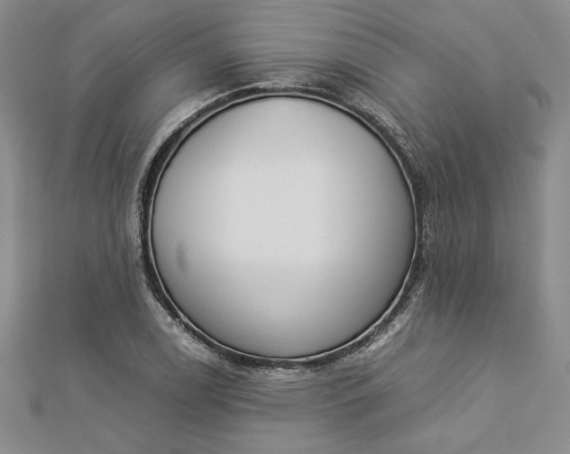 X0000112871122200909041616