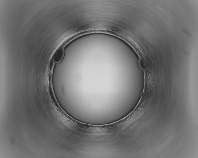 X0000112871124200909041616