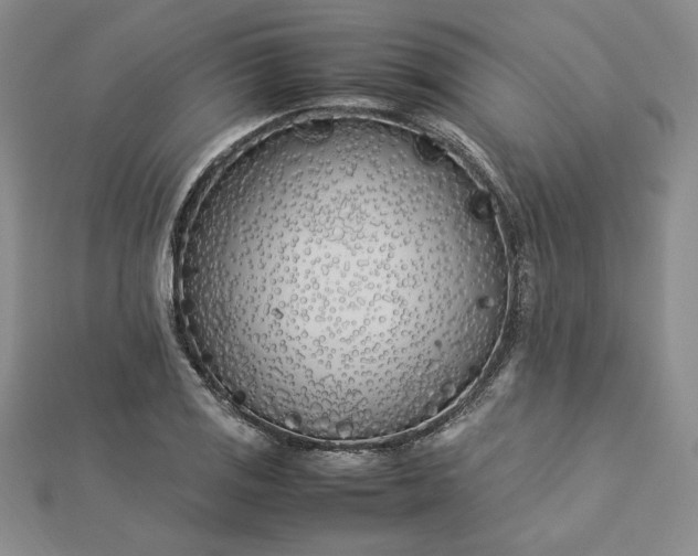 X0000112871125200909041616