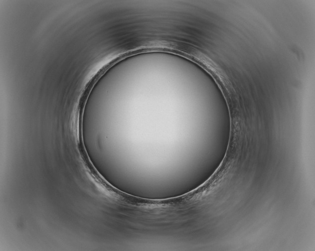 X0000112871127200909041616