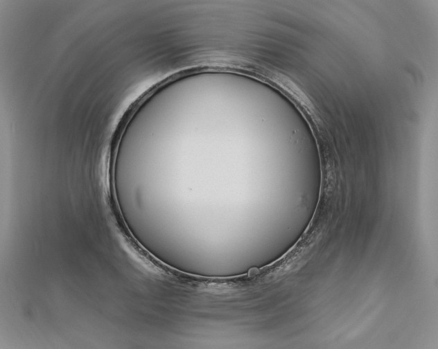 X0000112871128200909041616