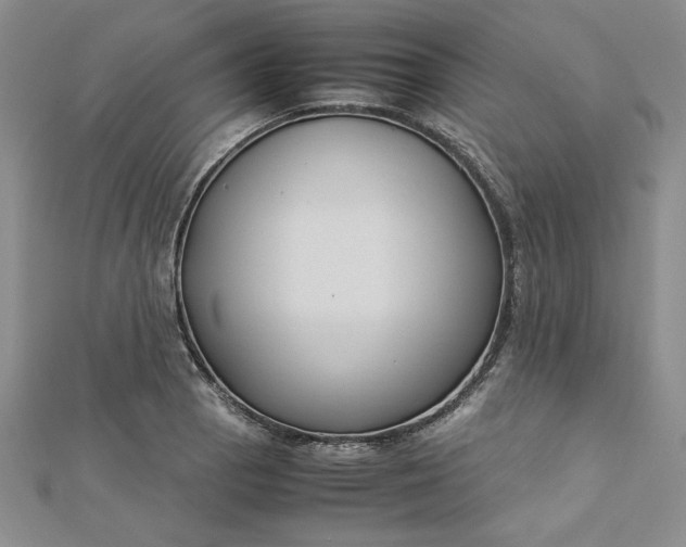 X0000112871129200909041616