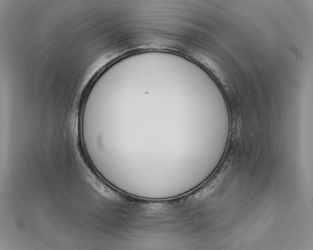 X0000112871130200909041616