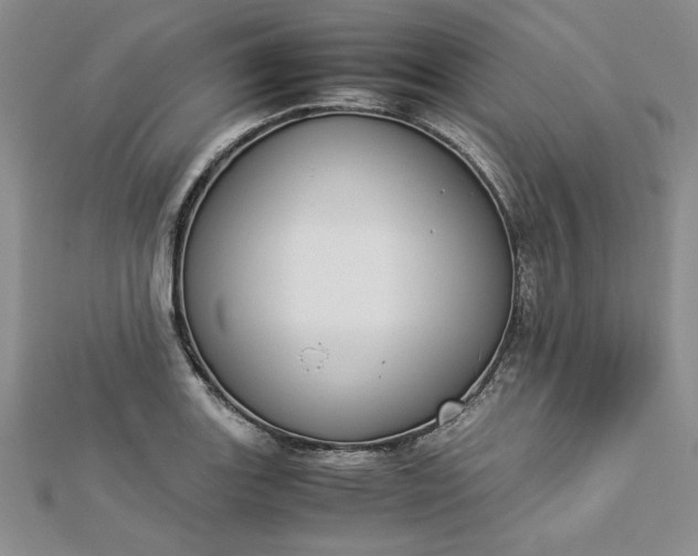 X0000112871131200909041616