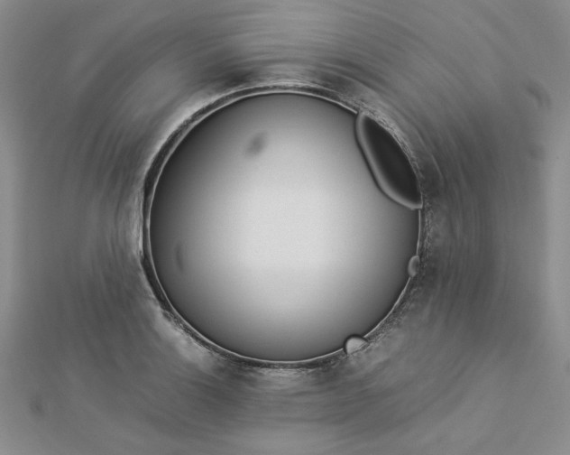 X0000112871132200909041616