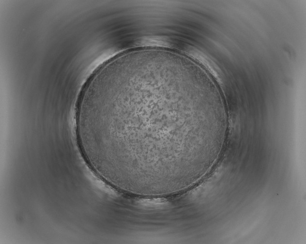 X0000112871133200909041616