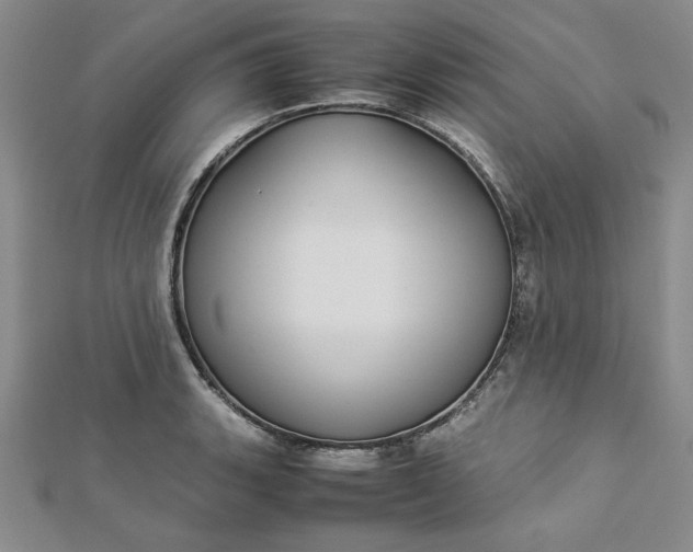 X0000112871135200909041616