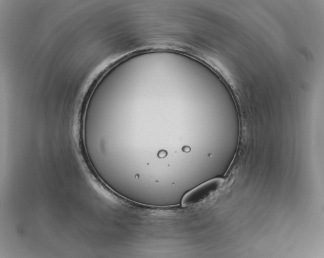 X0000112871136200909041616