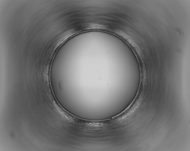 X0000112871137200909041616