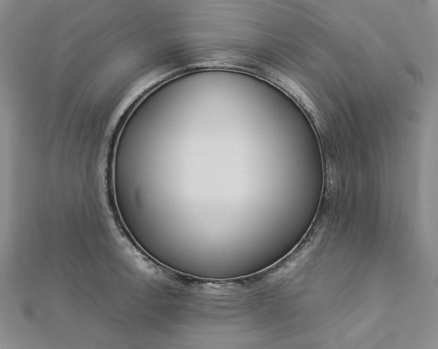 X0000112871138200909041616