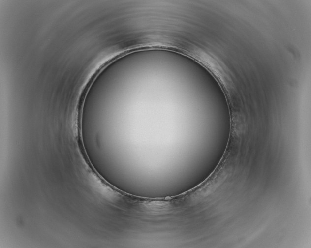 X0000112871140200909041616