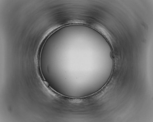 X0000112871141200909041616