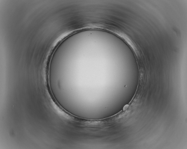 X0000112871143200909041616