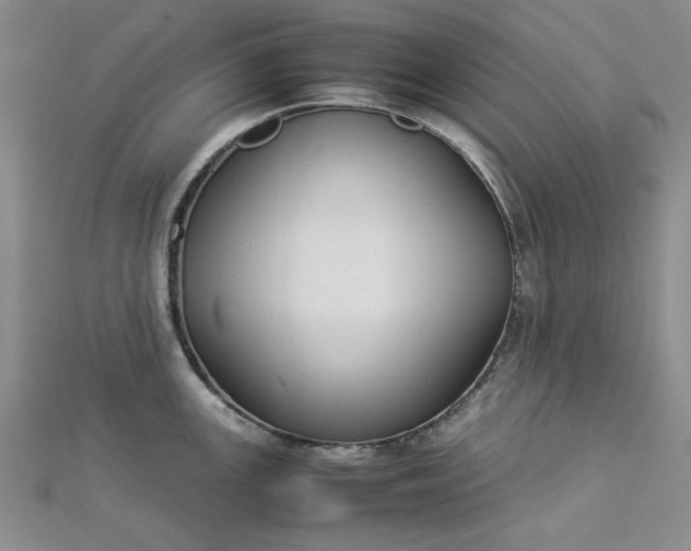 X0000112871147200909041616