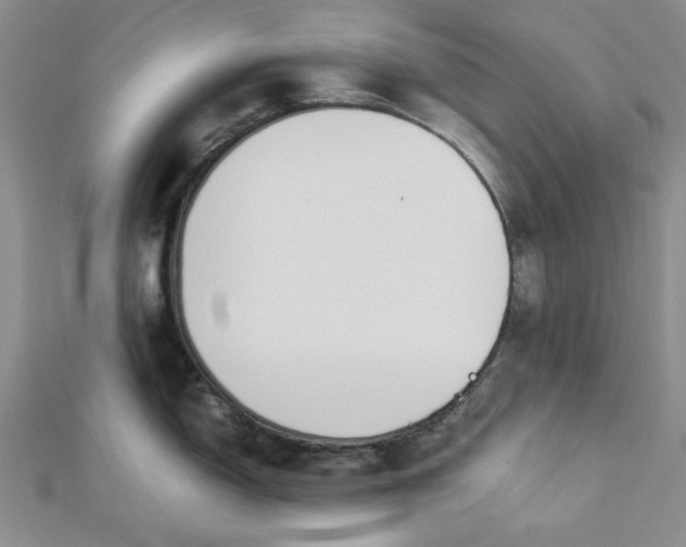 X0000112871150200909041616