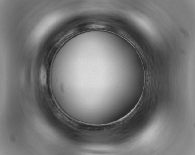 X0000112871151200909041616