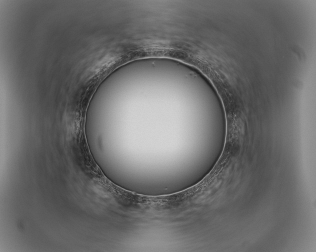 X0000112871157200909041615