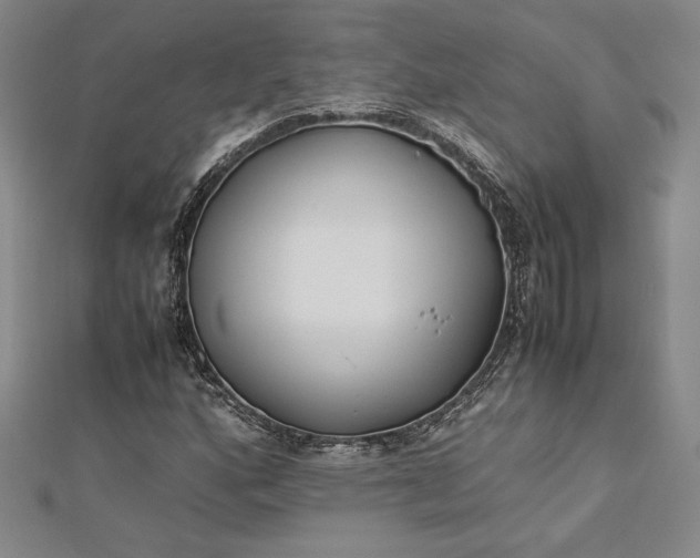 X0000112871160200909041615