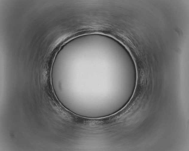 X0000112871163200909041615