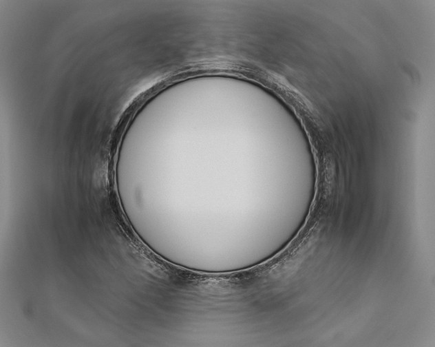 X0000112871166200909041615