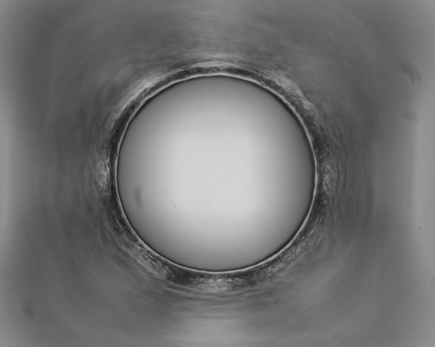 X0000112871167200909041615