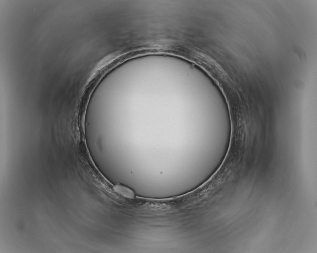 X0000112871168200909041615