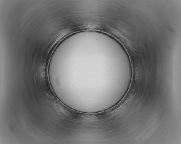 X0000112871170200909041615