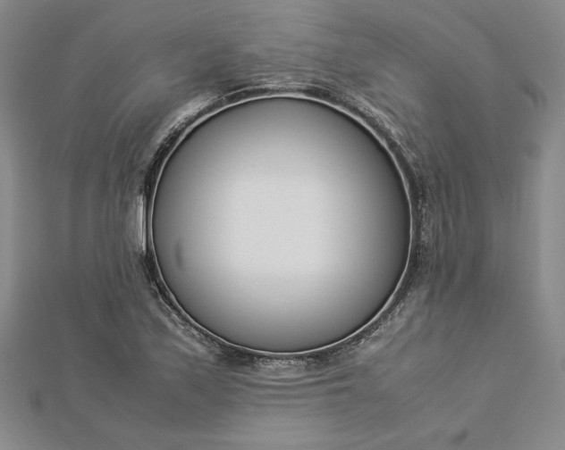 X0000112871171200909041615