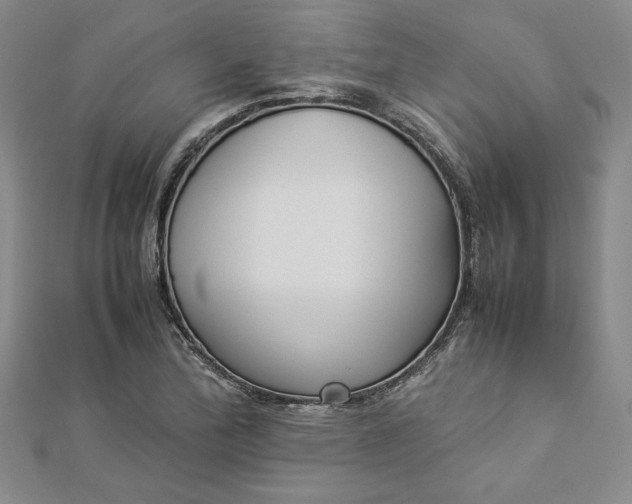 X0000112871172200909041615