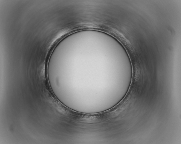 X0000112871174200909041615