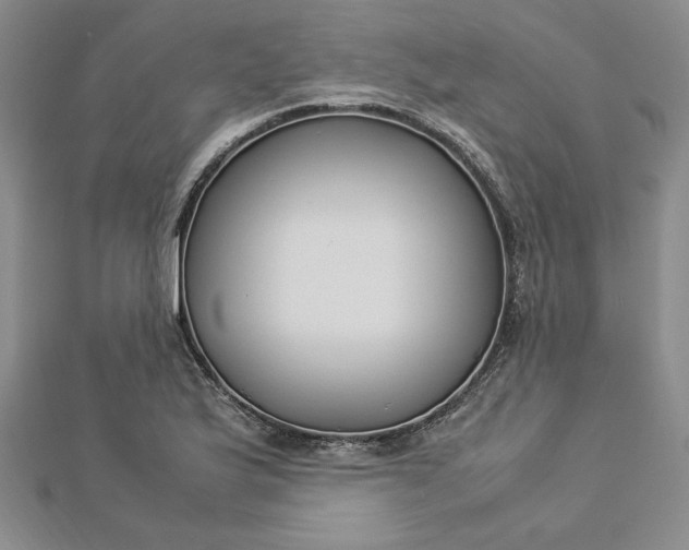 X0000112871175200909041615