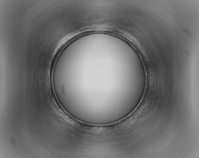 X0000112871176200909041615