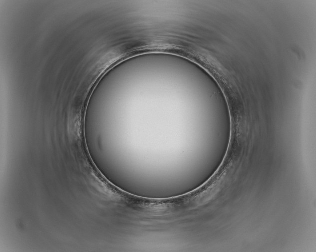 X0000112871177200909041615