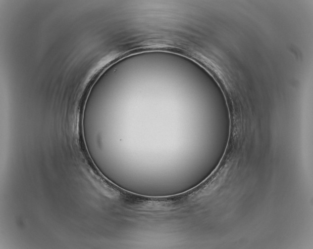 X0000112871179200909041615