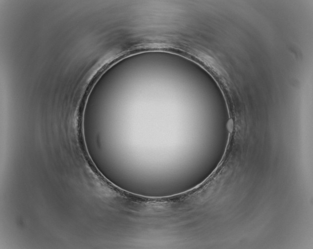 X0000112871181200909041615