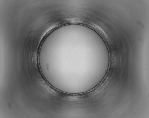 X0000112871182200909041615