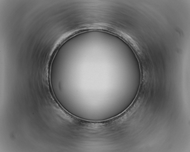 X0000112871184200909041615