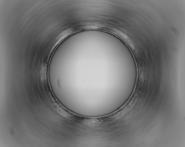 X0000112871186200909041615