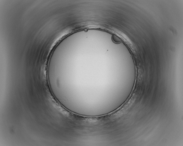 X0000112871190200909041615